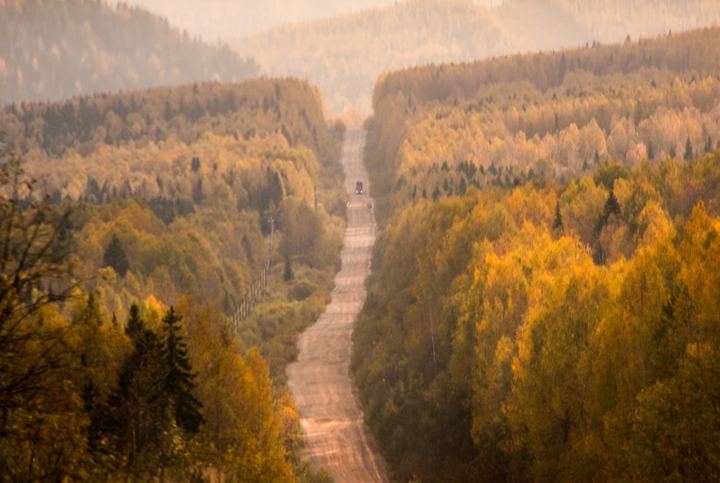Лесная дорога